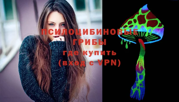 ГАЛЛЮЦИНОГЕННЫЕ ГРИБЫ Абинск