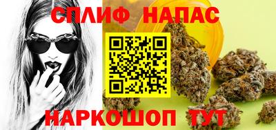 гидра Заводоуковск