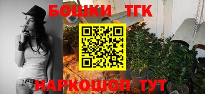 гидра Заводоуковск