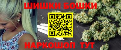 гидра Заводоуковск