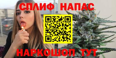 дмт Севастополь